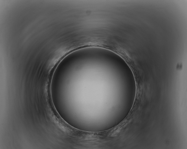 X0000089930098200707061048