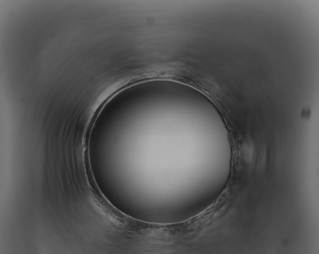 X0000089930100200707061048