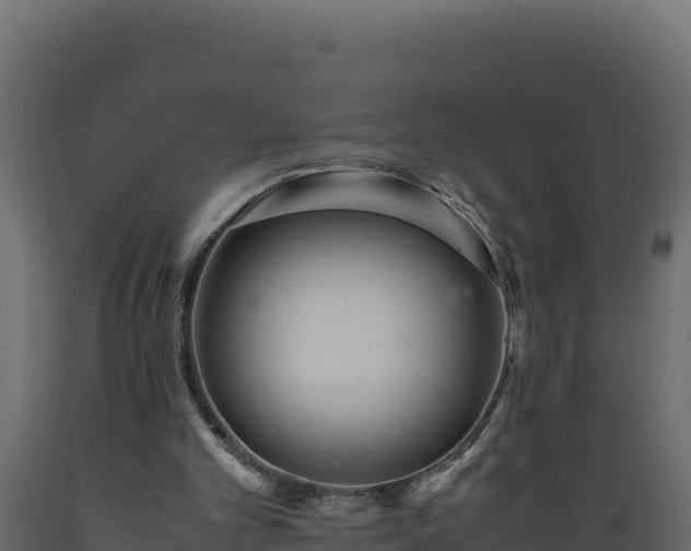 X0000089930101200707061048