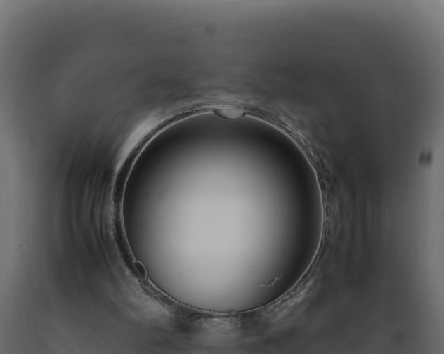 X0000089930102200707061048