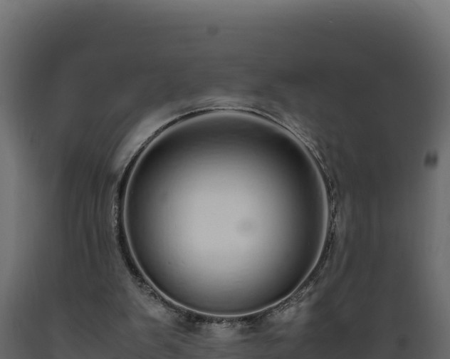 X0000089930103200707061048