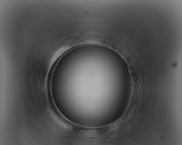 X0000089930104200707061047