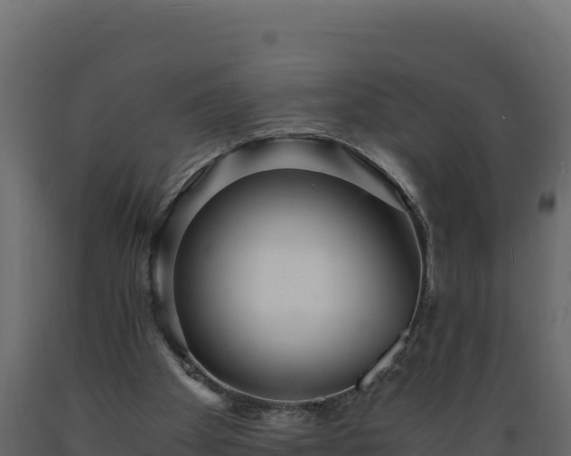 X0000089930105200707061047