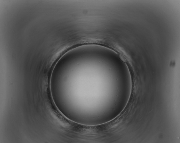 X0000089930107200707061047