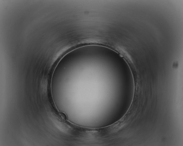 X0000089930108200707061047