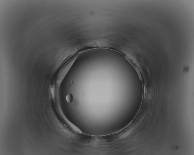 X0000089930109200707061047