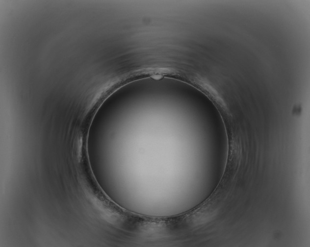 X0000089930110200707061047