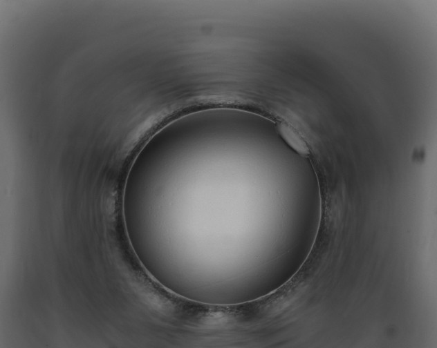 X0000089930111200707061047