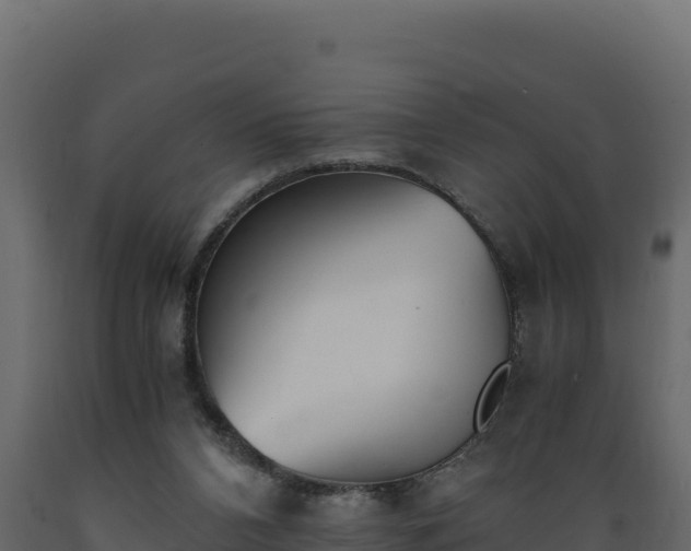 X0000089930112200707061047