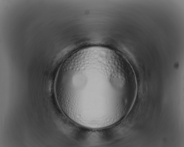 X0000089930115200707061047