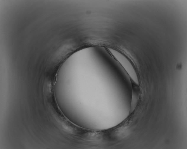 X0000089930117200707061047