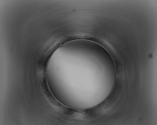 X0000089930119200707061047