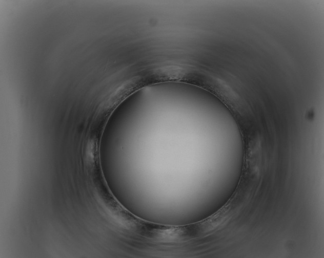 X0000089930122200707061047