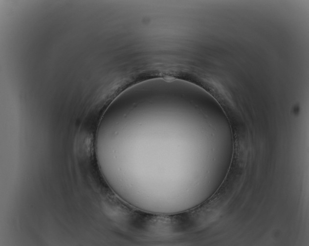 X0000089930123200707061047