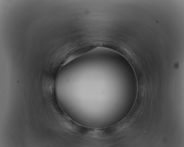 X0000089930125200707061047