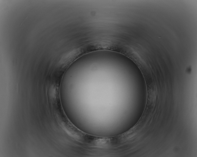 X0000089930126200707061047