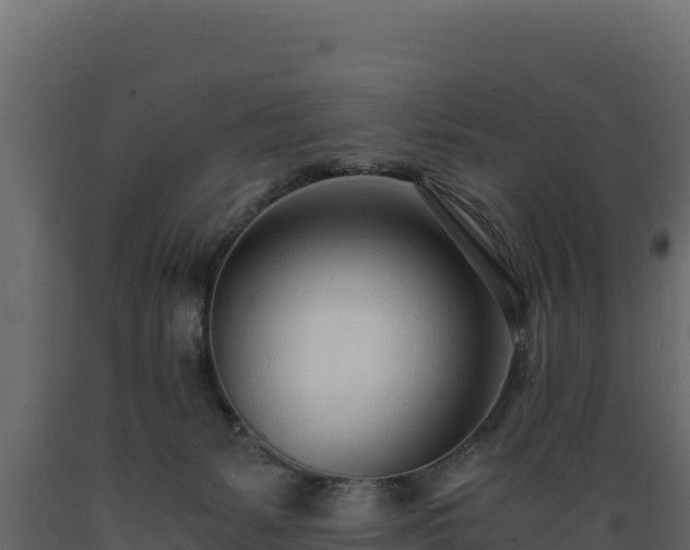 X0000089930127200707061047