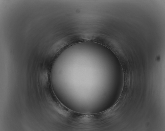 X0000089930128200707061047