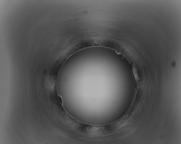 X0000089930129200707061047