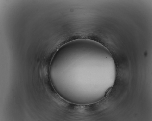 X0000089930131200707061047