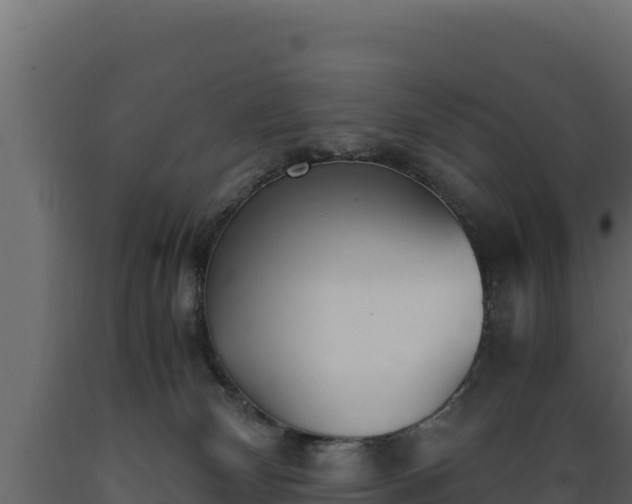 X0000089930132200707061047