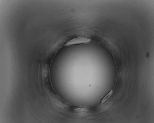 X0000089930133200707061047