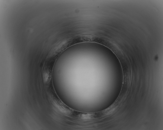 X0000089930134200707061047