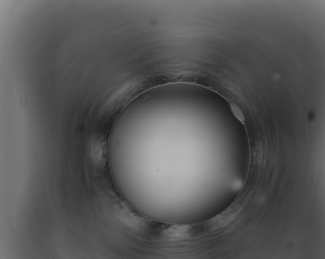 X0000089930138200707061047