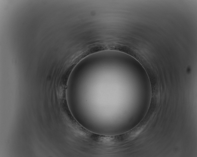 X0000089930139200707061047