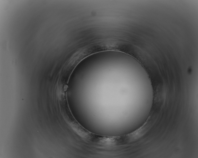 X0000089930140200707061047