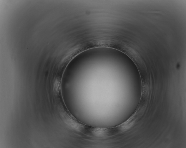 X0000089930142200707061047