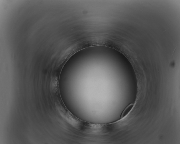 X0000089930144200707061047