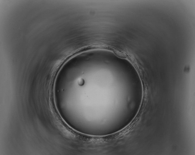 X0000089930145200707061046