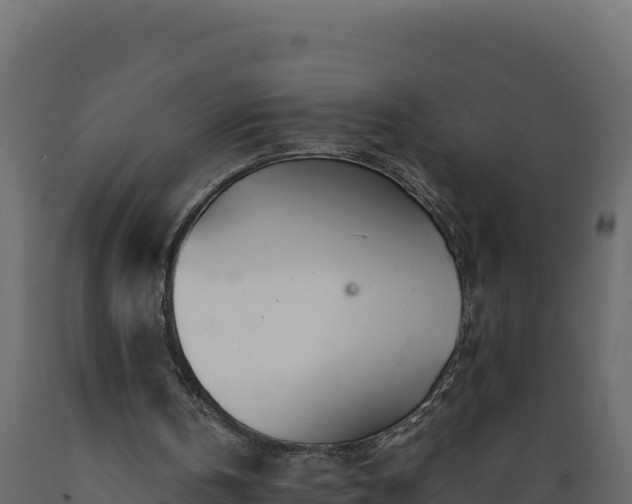 X0000089930146200707061046