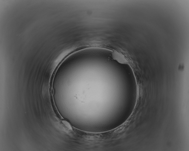 X0000089930147200707061046