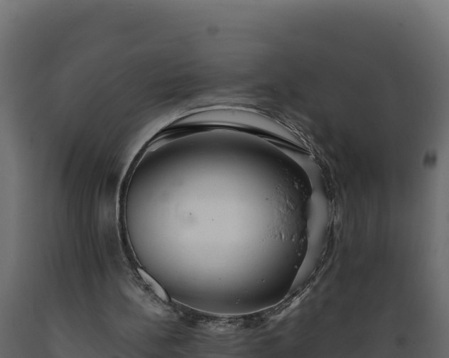 X0000089930148200707061046