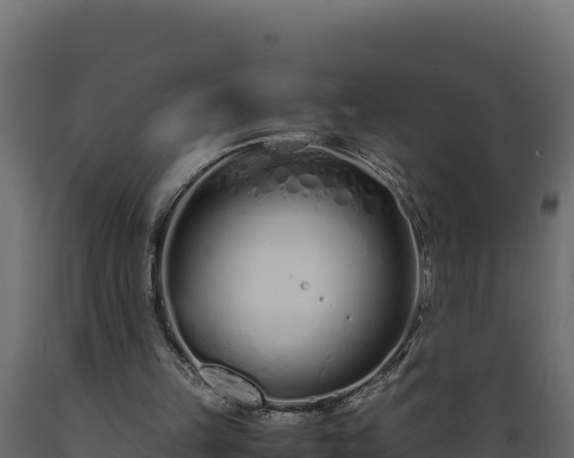 X0000089930149200707061046