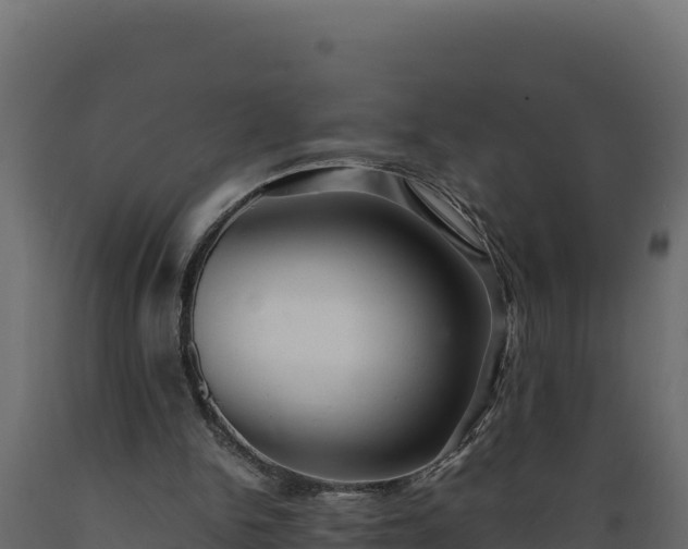 X0000089930150200707061046