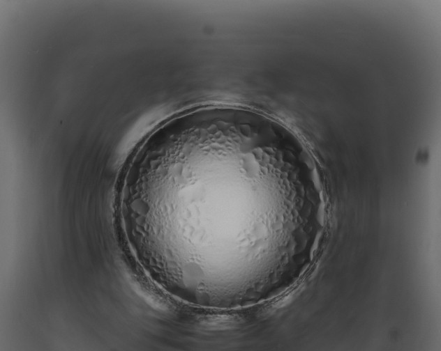 X0000089930151200707061046