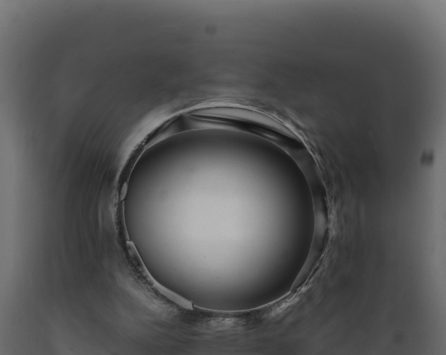 X0000089930152200707061046