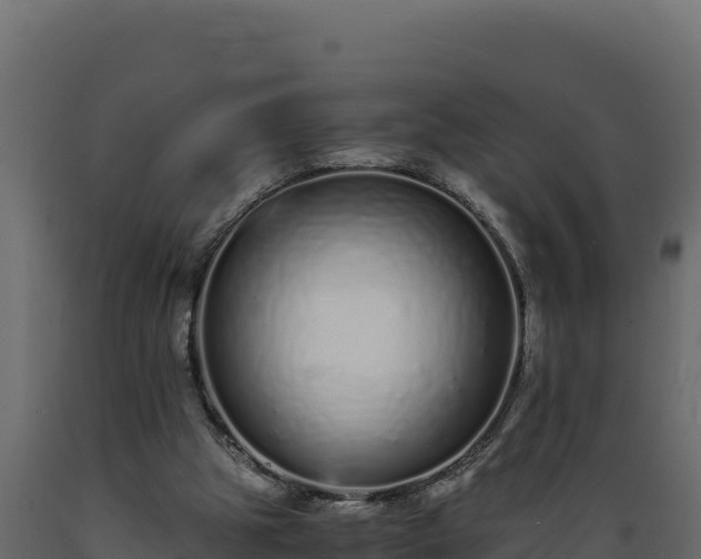 X0000089930153200707061046