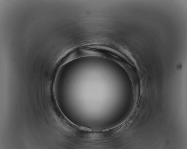 X0000089930154200707061046