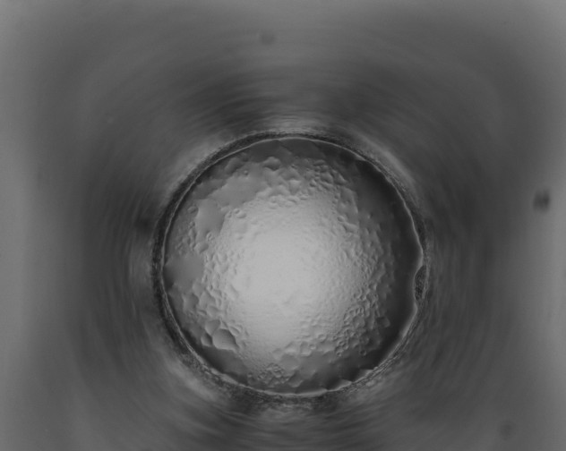 X0000089930155200707061046