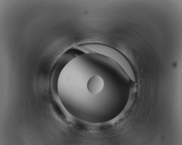 X0000089930156200707061046