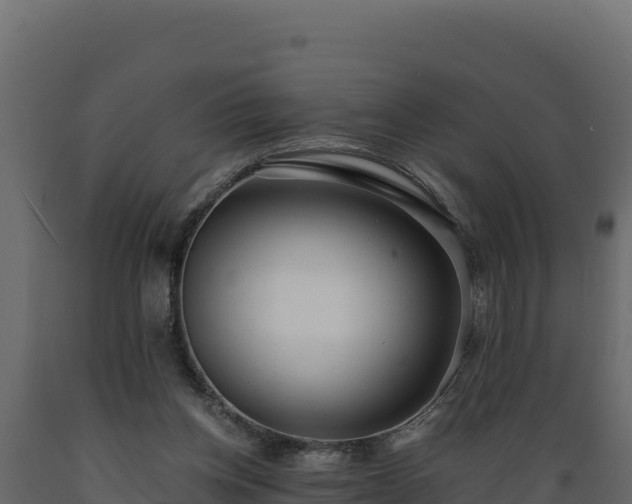 X0000089930158200707061046