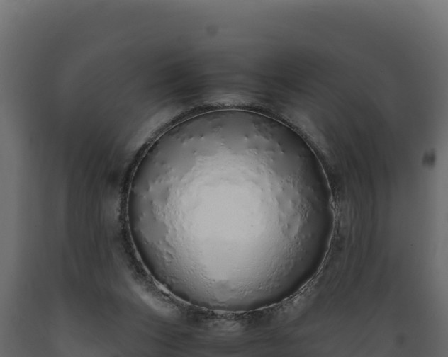 X0000089930159200707061046