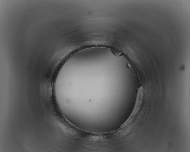 X0000089930160200707061047