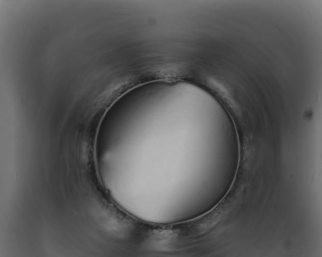 X0000089930161200707061047