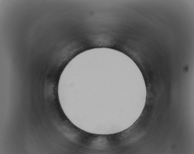 X0000089930162200707061047