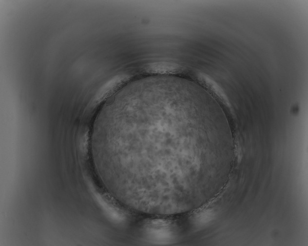 X0000089930163200707061047